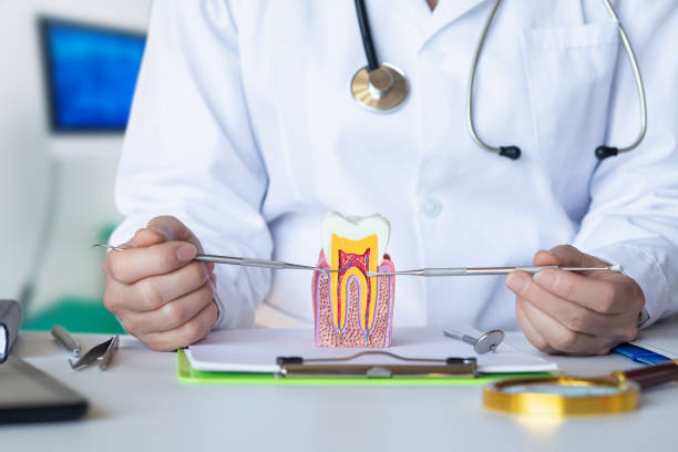 Best Emergency Treatment for Oral Infections in Trotwood, OH